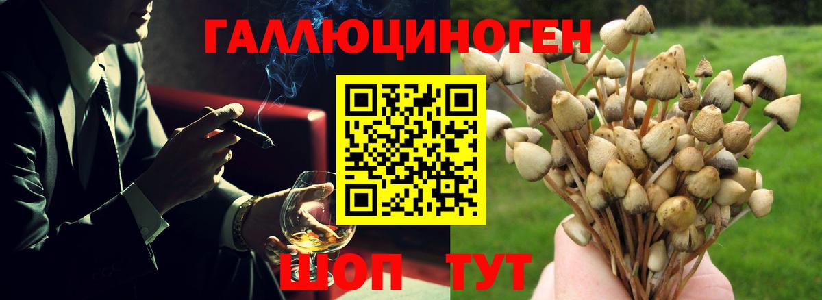 Хабаровск  Галлюциногенные грибы прущие грибы  Вход с VPN  Псилоцибиновые грибы Cubensis 